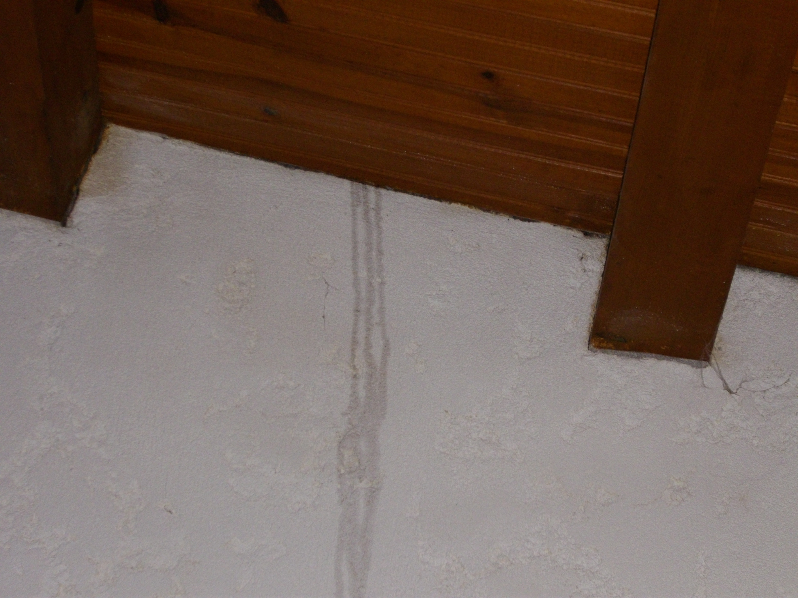 Dégâts des eaux par infiltration